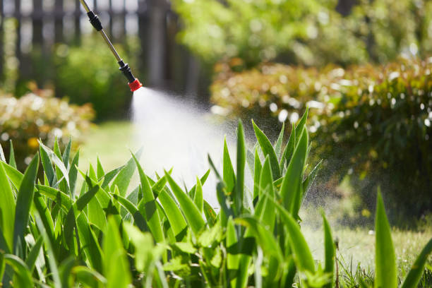Tamper-Resistant Bait Stations for Rodents in Republic