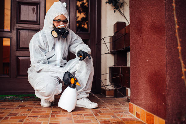 Attic and Crawl Space Rodent Treatment in Republic
