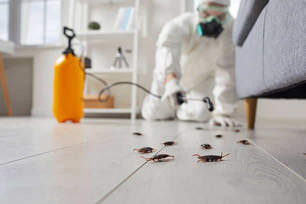 Commercial Rodent Management in Republic